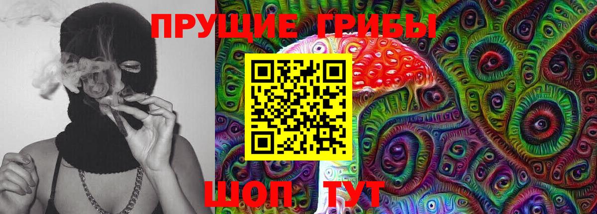 Псилоцибиновые грибы Psilocybine cubensis  Вход с VPN  Партизанск  Галлюциногенные грибы Cubensis 