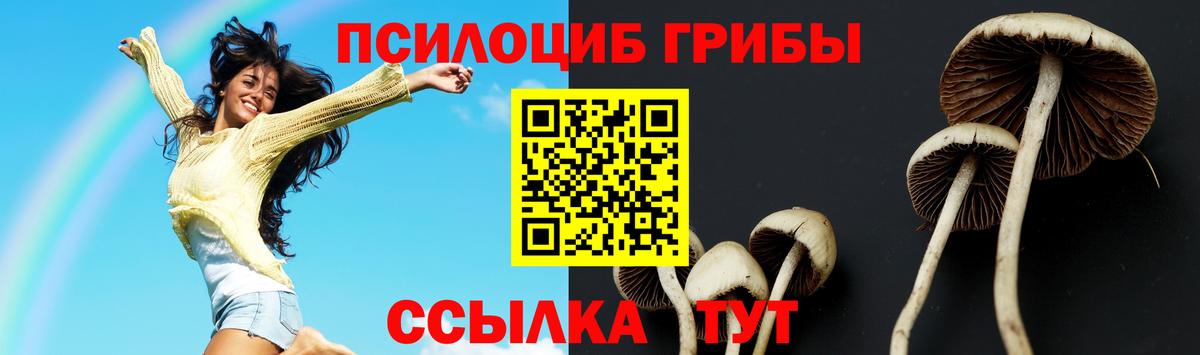 Галлюциногенные грибы Psilocybine cubensis Партизанск